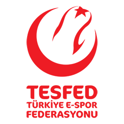 TÜRKİYE E- SPOR FEDERASYONU